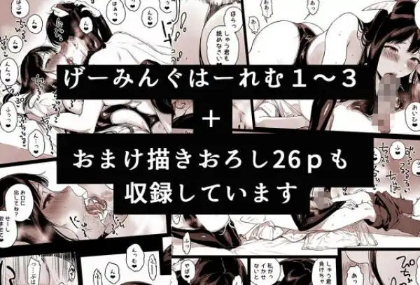 げーみんぐはーれむ総集編I(d_571191)ページ010