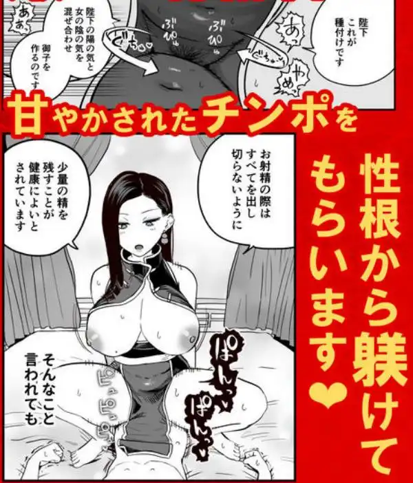 皇帝の指南役 -クールな宮女の筆おろし子作り指導-(d_661751)ページ011