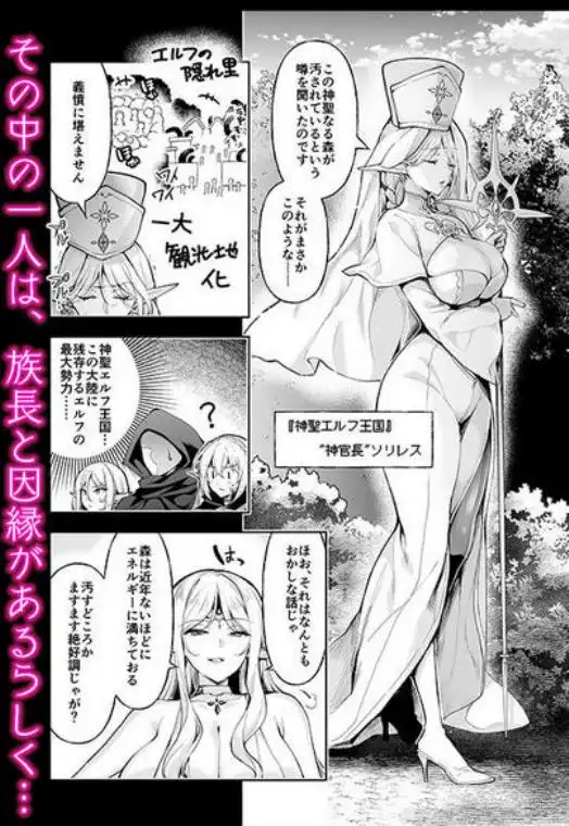 エルフに淫紋を付ける本 LEVEL:9(d_673732)ページ002