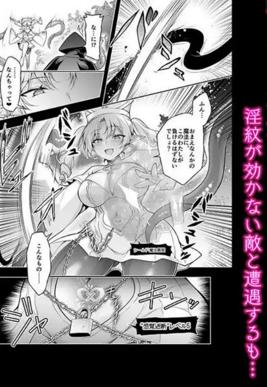 エルフに淫紋を付ける本 LEVEL:9(d_673732)ページ006