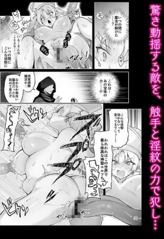 エルフに淫紋を付ける本 LEVEL:9(d_673732)ページ010