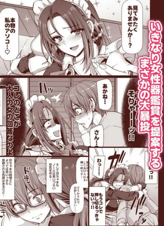 ポンコツ独身メイドあかねさん（28）(d_701544)ページ011