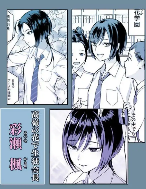 陰キャな俺だけが知っている生徒会長の裏側。～隠れ巨乳の先輩が快楽に屈服して堕ちるまで～(d_709018)ページ001