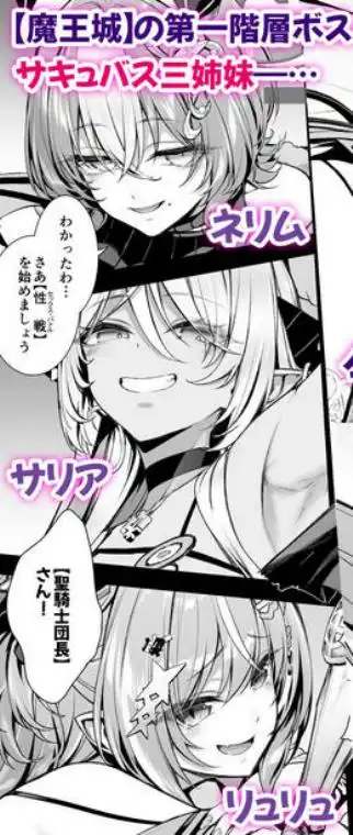 魔王城のサキュバス2 ～VS.聖騎士～(d_711222)ページ001