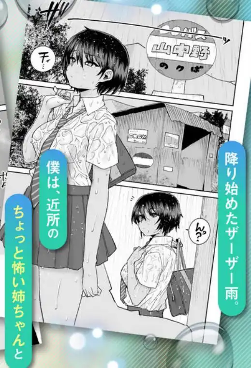 無口で気の強いボーイッシュなお姉ちゃんで僕は童貞を卒業しました(d_732686)ページ001