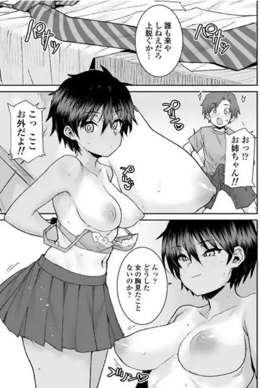 無口で気の強いボーイッシュなお姉ちゃんで僕は童貞を卒業しました(d_732686)ページ013