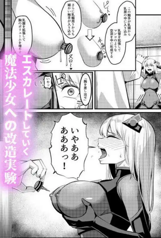 魔法少女セイントリリィ・戦乙女 ～敵組織に洗脳調教された魔法少女が性処理戦闘員に堕ちるまで～(d_733515)ページ009