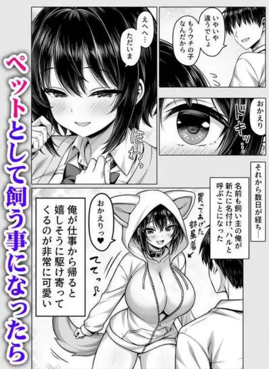 深夜の無人駅で拾った巨乳家出JKの飼い主の日常(d_737512)ページ002