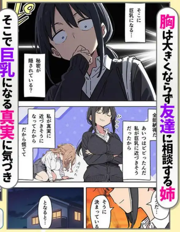 貧乳コンプレックスなジト目姉の育乳を手伝ったが大きくならないので中出しセックスすることになった話(d_738198)ページ011