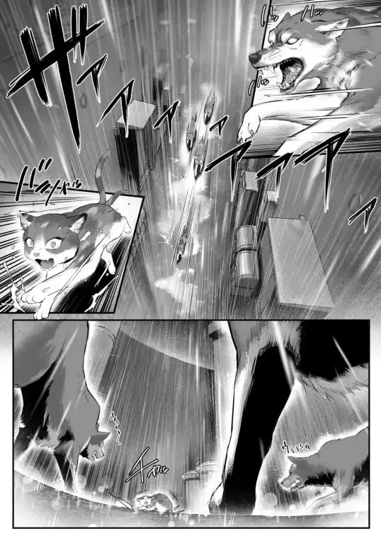 拾った猫がギャルで極道の娘だった話(d_743314)ページ005