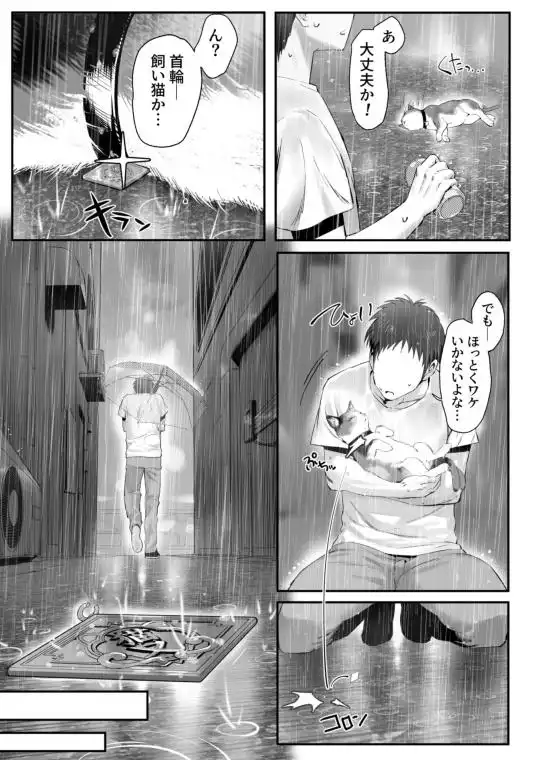 拾った猫がギャルで極道の娘だった話(d_743314)ページ007