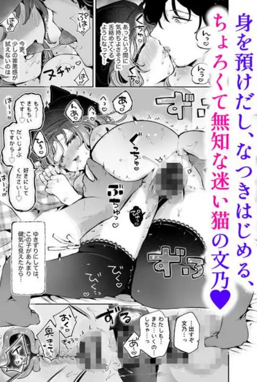 家出美少女〇〇を生オナホとして飼う話～迷い猫の拾い方～(d_755814)ページ008